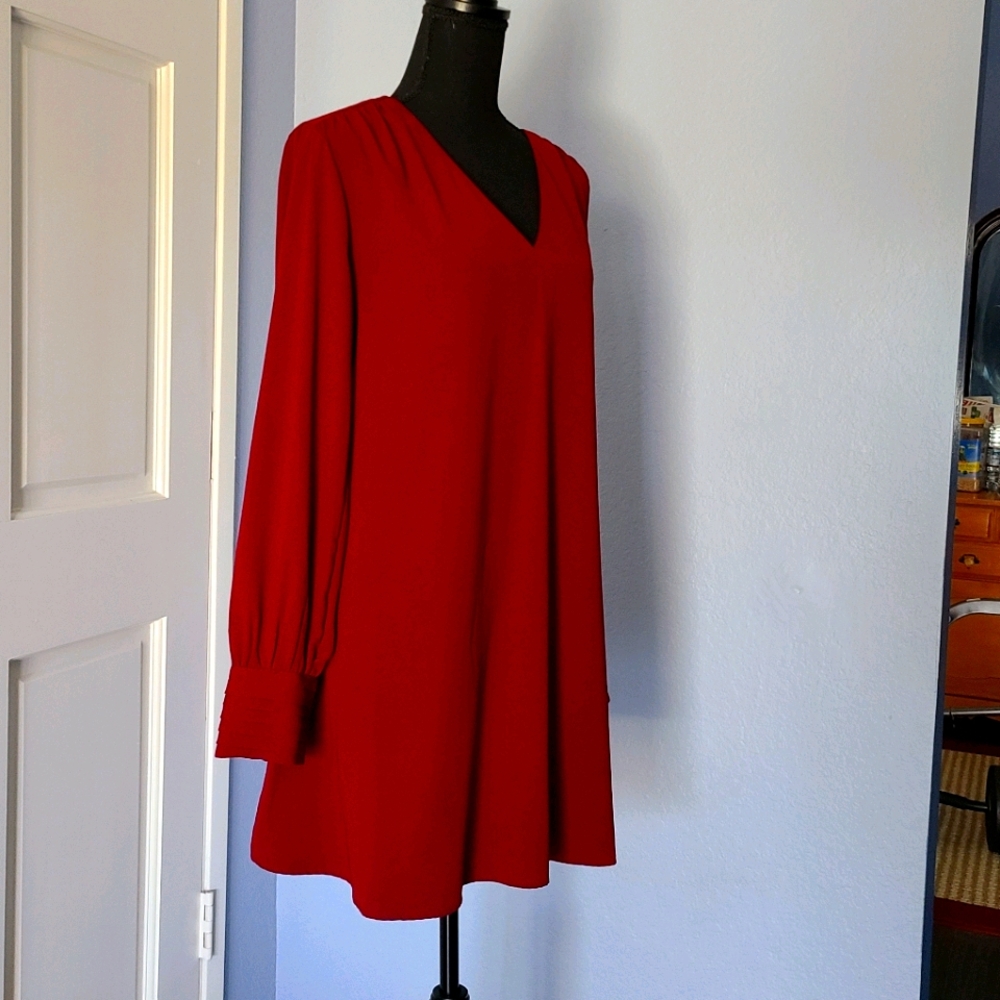 Burgundy dress